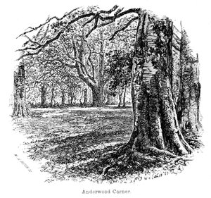 Anderwood Corner by Walter Crane
